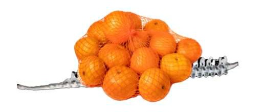 🍊 The Mandarin Net, Essure, and the Erosion of Medical&nbsp;Trust